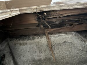 Read more about the article 床下の調査作業